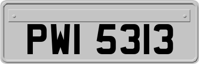 PWI5313