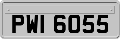 PWI6055