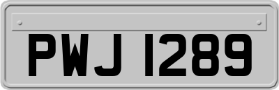 PWJ1289