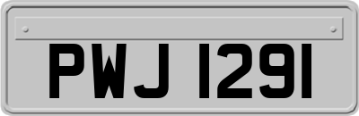 PWJ1291