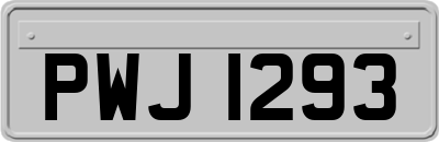 PWJ1293