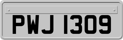 PWJ1309