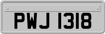 PWJ1318