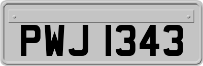 PWJ1343