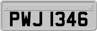 PWJ1346