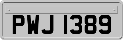 PWJ1389