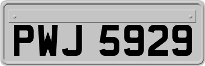 PWJ5929