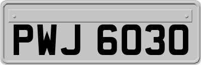 PWJ6030