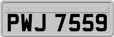 PWJ7559