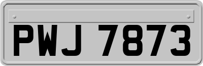 PWJ7873