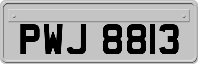 PWJ8813