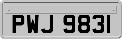 PWJ9831