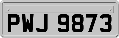 PWJ9873