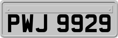 PWJ9929