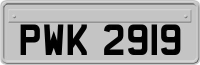 PWK2919