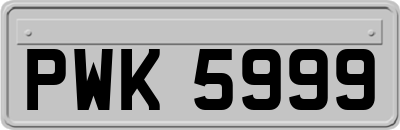 PWK5999