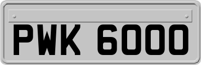 PWK6000