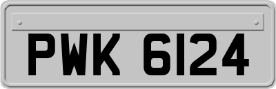 PWK6124