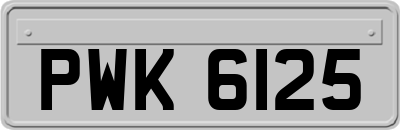 PWK6125