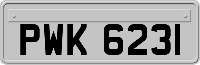 PWK6231