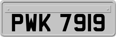 PWK7919