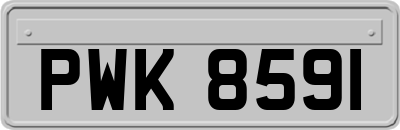 PWK8591