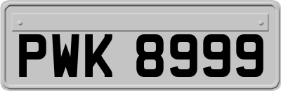 PWK8999