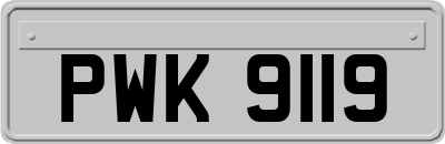 PWK9119