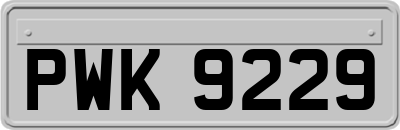 PWK9229