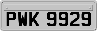 PWK9929