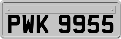 PWK9955