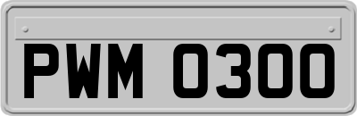 PWM0300