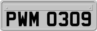 PWM0309