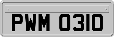 PWM0310