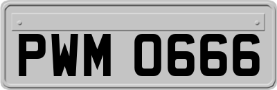 PWM0666