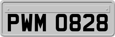 PWM0828