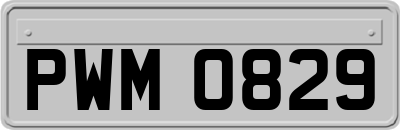 PWM0829