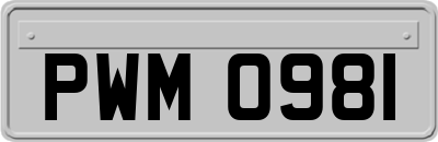 PWM0981