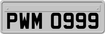 PWM0999