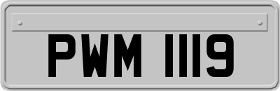 PWM1119