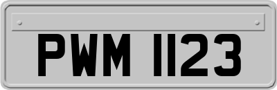 PWM1123