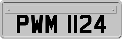 PWM1124