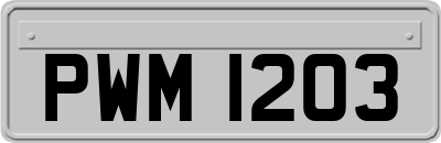 PWM1203