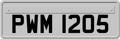 PWM1205