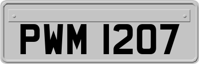 PWM1207