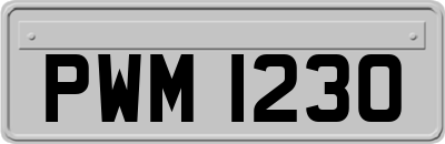 PWM1230