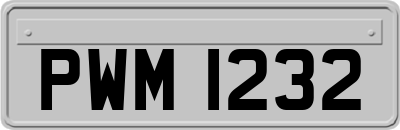 PWM1232