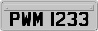 PWM1233