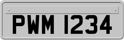 PWM1234