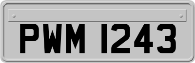 PWM1243